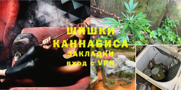 метадон Богданович