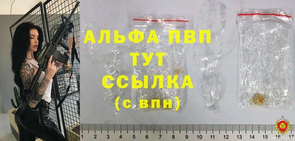 метадон Богданович