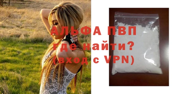 метадон Богданович