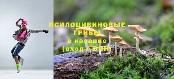 метадон Богданович