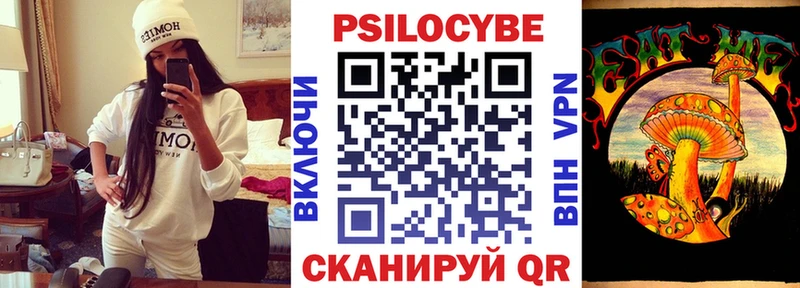 Псилоцибиновые грибы мицелий  Питкяранта 